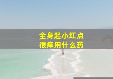 全身起小红点很痒用什么药