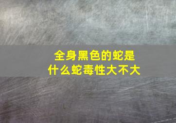 全身黑色的蛇是什么蛇毒性大不大