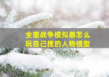 全面战争模拟器怎么玩自己捏的人物模型