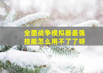 全面战争模拟器最强技能怎么用不了了呀