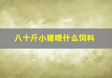 八十斤小猪喂什么饲料