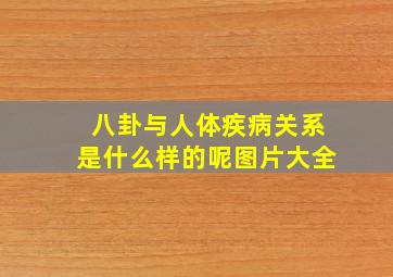 八卦与人体疾病关系是什么样的呢图片大全