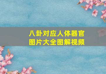 八卦对应人体器官图片大全图解视频