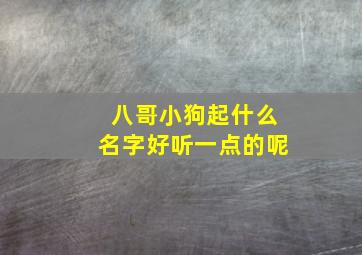 八哥小狗起什么名字好听一点的呢