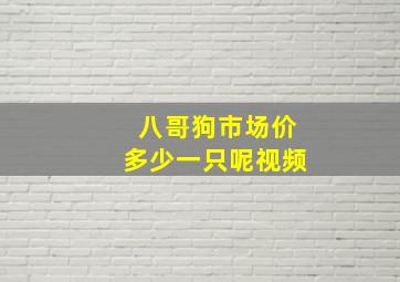 八哥狗市场价多少一只呢视频