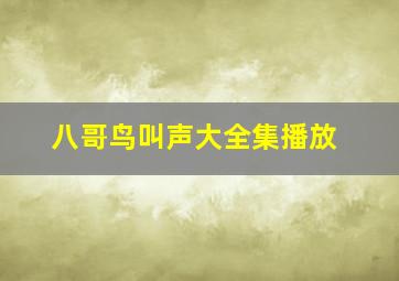 八哥鸟叫声大全集播放