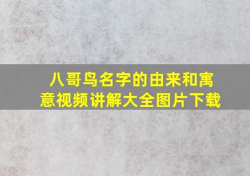 八哥鸟名字的由来和寓意视频讲解大全图片下载