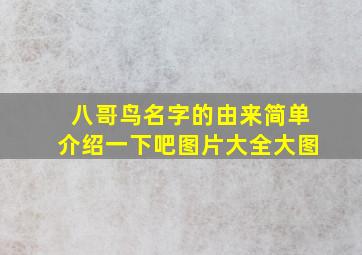 八哥鸟名字的由来简单介绍一下吧图片大全大图