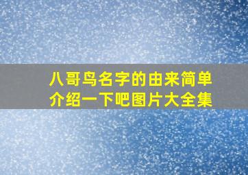 八哥鸟名字的由来简单介绍一下吧图片大全集