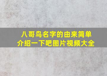 八哥鸟名字的由来简单介绍一下吧图片视频大全