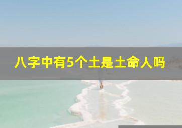 八字中有5个土是土命人吗