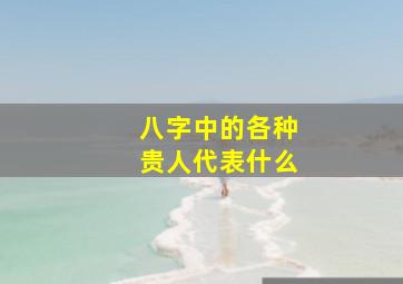 八字中的各种贵人代表什么