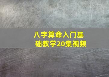 八字算命入门基础教学20集视频