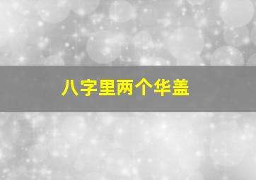 八字里两个华盖