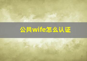 公共wife怎么认证