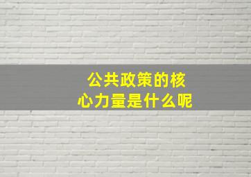 公共政策的核心力量是什么呢