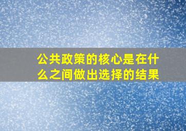 公共政策的核心是在什么之间做出选择的结果