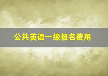 公共英语一级报名费用