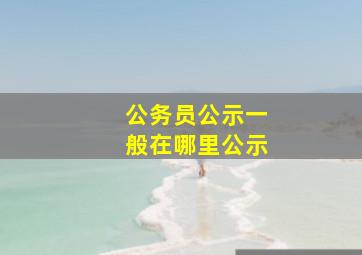 公务员公示一般在哪里公示