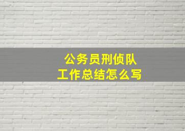 公务员刑侦队工作总结怎么写