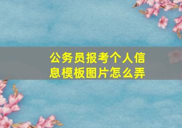 公务员报考个人信息模板图片怎么弄