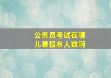 公务员考试在哪儿看报名人数啊