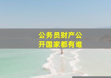 公务员财产公开国家都有谁