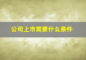 公司上市需要什么条件