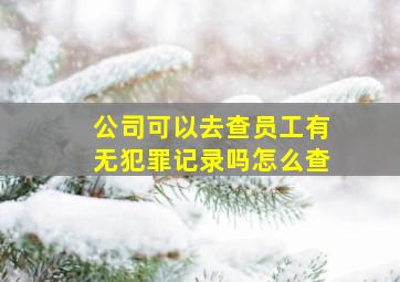 公司可以去查员工有无犯罪记录吗怎么查