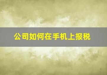 公司如何在手机上报税