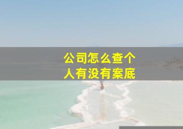 公司怎么查个人有没有案底