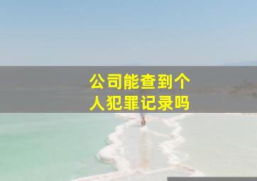 公司能查到个人犯罪记录吗