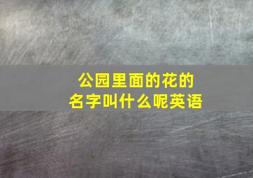 公园里面的花的名字叫什么呢英语