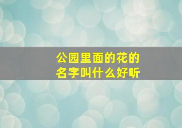 公园里面的花的名字叫什么好听