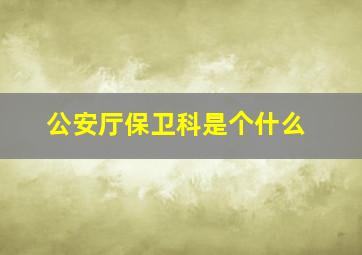 公安厅保卫科是个什么