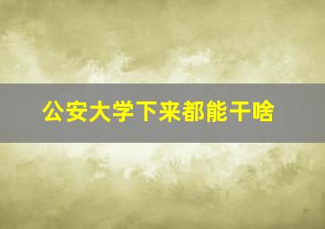 公安大学下来都能干啥