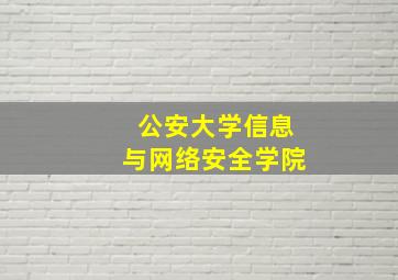 公安大学信息与网络安全学院