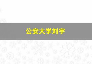 公安大学刘宇