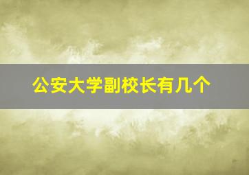 公安大学副校长有几个