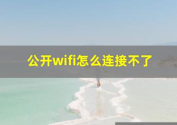 公开wifi怎么连接不了