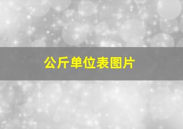 公斤单位表图片