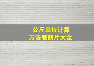 公斤单位计算方法表图片大全