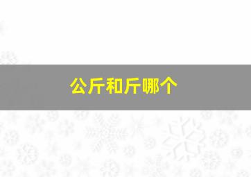 公斤和斤哪个