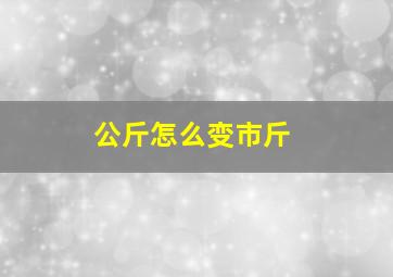 公斤怎么变市斤