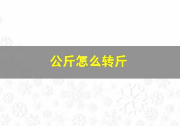 公斤怎么转斤