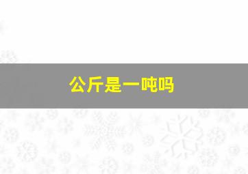 公斤是一吨吗