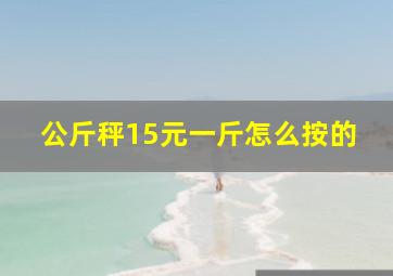 公斤秤15元一斤怎么按的