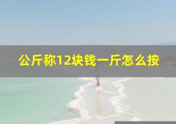 公斤称12块钱一斤怎么按