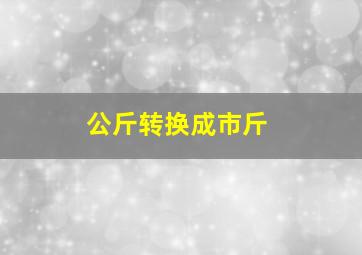 公斤转换成市斤