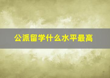 公派留学什么水平最高